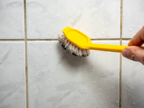 Trusted Mound City, MO Mold Remediation Experts